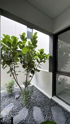 Kheam Hock Road (D11), Semi-Detached #568204461